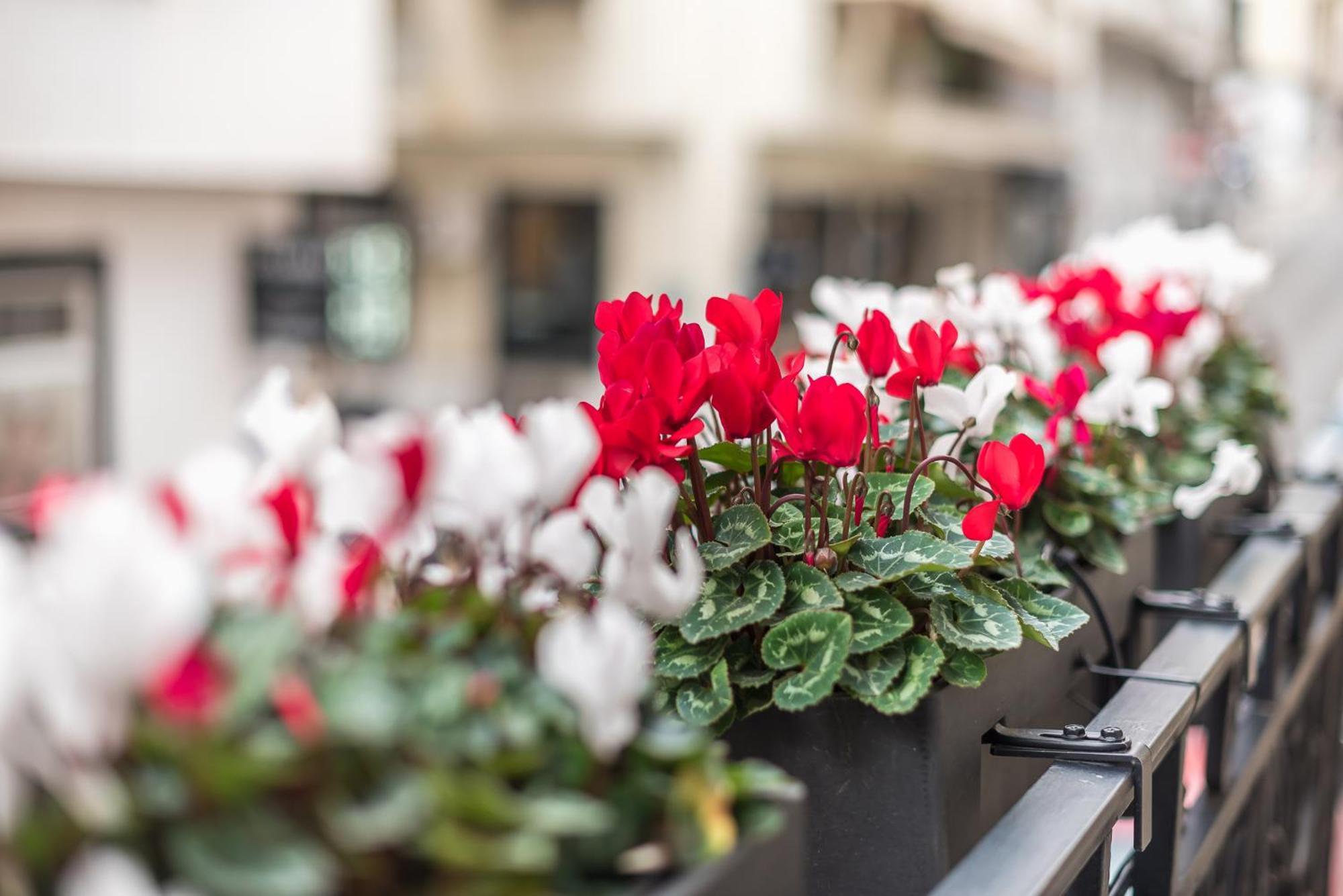 The Rare Luxury Gem Near Syntagma, Kolonaki Square Daire Atina Dış mekan fotoğraf